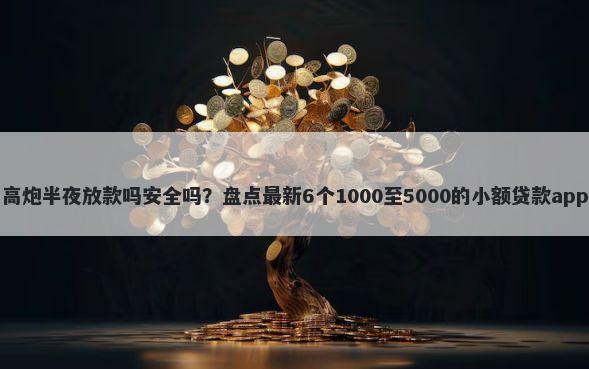 高炮半夜放款吗安全吗？盘点最新6个1000至5000的小额贷款app