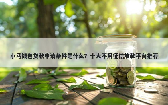 小马钱包贷款申请条件是什么?十大不用征信放款平台推荐