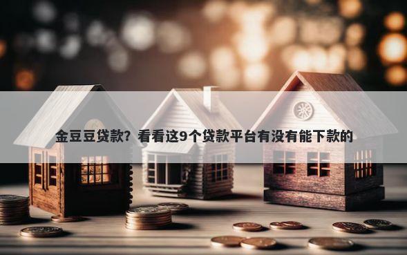 金豆豆贷款?看看这9个贷款平台有没有能下款的