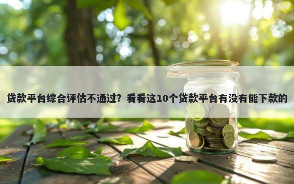 贷款平台综合评估不通过?看看这10个贷款平台有没有能下款的