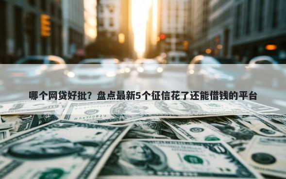 哪个网贷好批？盘点最新5个征信花了还能借钱的平台