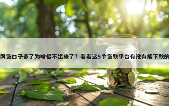 网贷口子多了为啥借不出来了？看看这5个贷款平台有没有能下款的