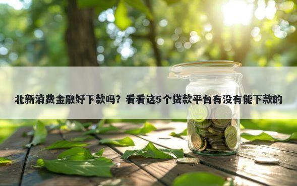 北新消费金融好下款吗？看看这5个贷款平台有没有能下款的