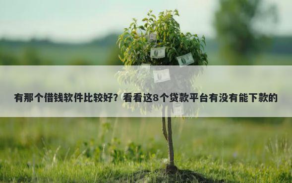 有那个借钱软件比较好？看看这8个贷款平台有没有能下款的