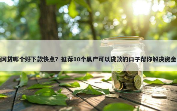 小额网贷哪个好下款快点？推荐10个黑户可以贷款的口子帮你解决资金问题