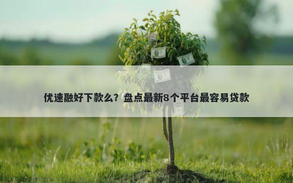 优速融好下款么？盘点最新8个平台最容易贷款