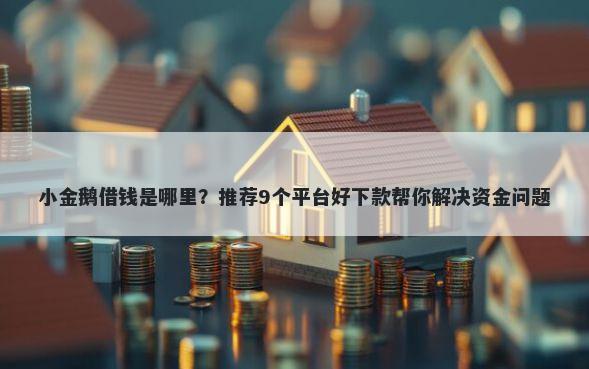 小金鹅借钱是哪里？推荐9个平台好下款帮你解决资金问题