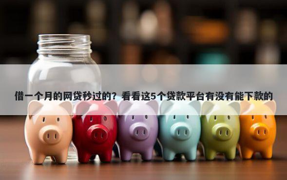 借一个月的网贷秒过的？看看这5个贷款平台有没有能下款的