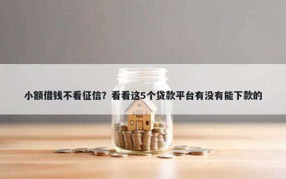 小额借钱不看征信？看看这5个贷款平台有没有能下款的