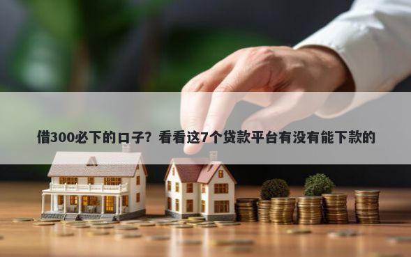 借300必下的口子？看看这7个贷款平台有没有能下款的