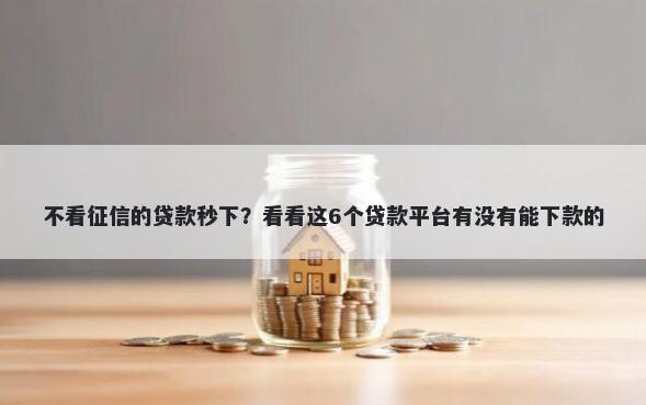 不看征信的贷款秒下？看看这6个贷款平台有没有能下款的