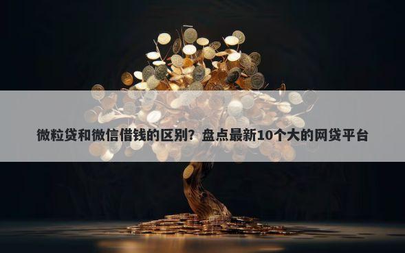 微粒贷和微信借钱的区别？盘点最新10个大的网贷平台