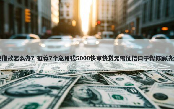 无视风控借款怎么办？推荐7个急用钱5000快审快贷无需征信口子帮你解决资金问题