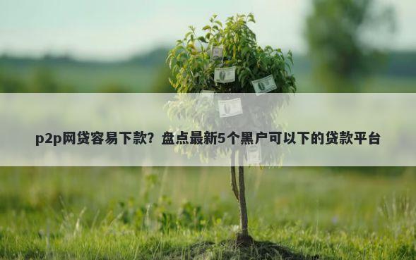 p2p网贷容易下款？盘点最新5个黑户可以下的贷款平台