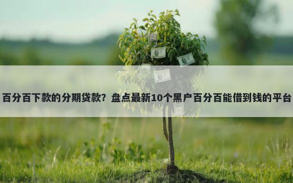 百分百下款的分期贷款？盘点最新10个黑户百分百能借到钱的平台
