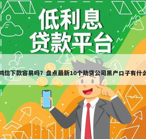 鸿信下款容易吗？盘点最新10个助贷公司黑户口子有什么