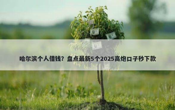 哈尔滨个人借钱？盘点最新5个2025高炮口子秒下款