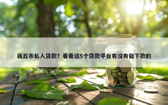 商丘市私人贷款？看看这5个贷款平台有没有能下款的