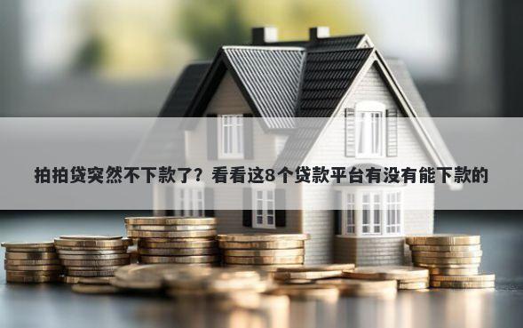 拍拍贷突然不下款了？看看这8个贷款平台有没有能下款的