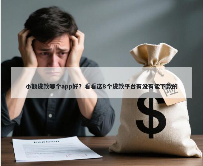 小额贷款哪个app好？看看这8个贷款平台有没有能下款的