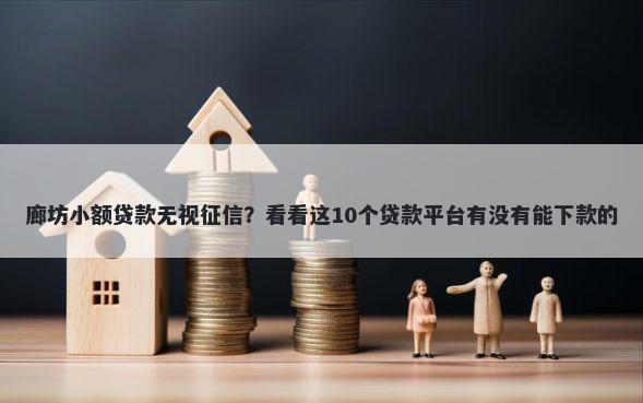 廊坊小额贷款无视征信？看看这10个贷款平台有没有能下款的