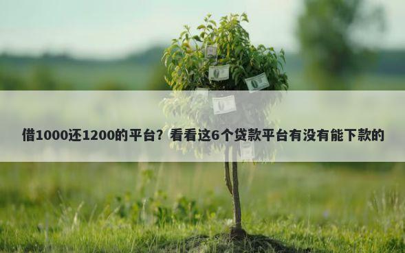 借1000还1200的平台？看看这6个贷款平台有没有能下款的