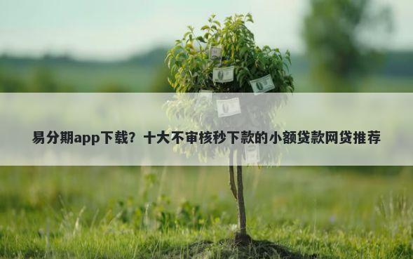 易分期app下载？十大不审核秒下款的小额贷款网贷推荐