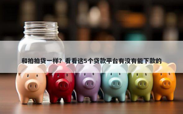 和拍拍贷一样？看看这5个贷款平台有没有能下款的