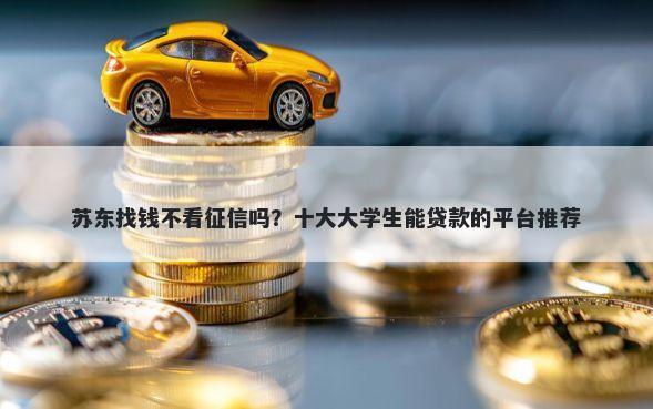 苏东找钱不看征信吗？十大大学生能贷款的平台推荐