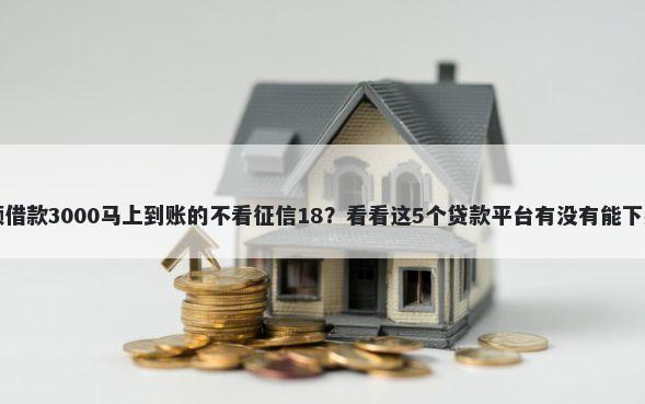 小额借款3000马上到账的不看征信18？看看这5个贷款平台有没有能下款的
