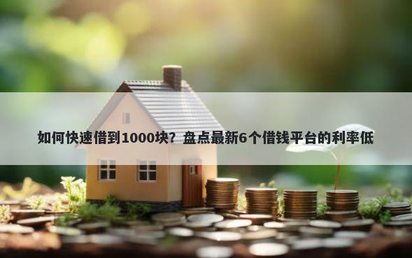 如何快速借到1000块？盘点最新6个借钱平台的利率低