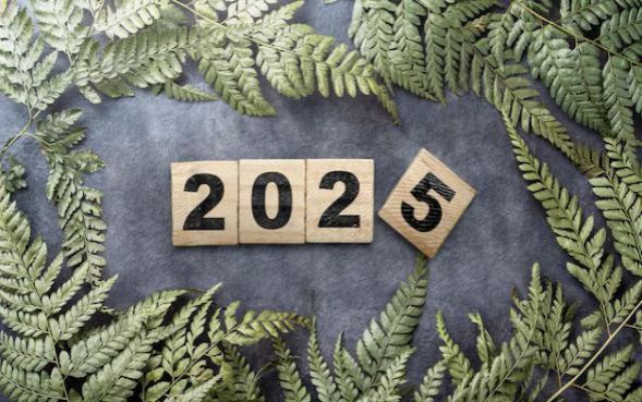 2025年安逸花借钱好吗？微信上面可以借款吗搜罗这五个！本文为您隆重阐述！